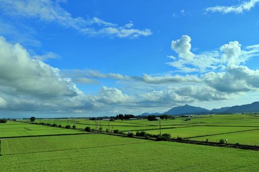 夏の田園風景 夏の田園風景 夏空,田園風景,入道雲の写真素材