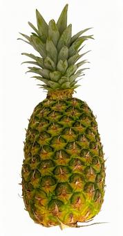 パイナップル パイナップル,パイン,丸ごとの写真素材