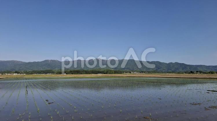 水田と山脈のリフレクション 田園風景,田植え,稲作の写真素材