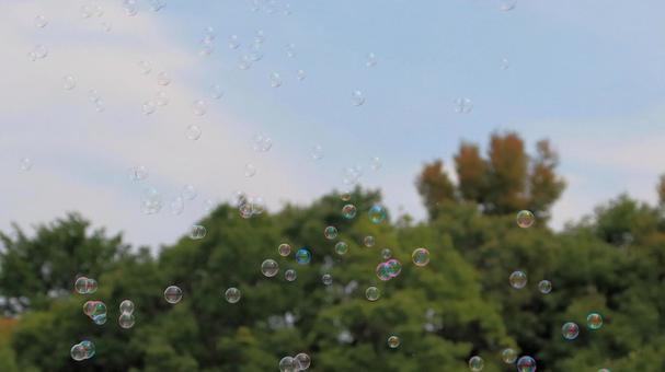 夏休みの公園で沢山のシャボン玉飛んだ 夏休みの公園で沢山のシャボン玉飛んだ シャボン玉,夏休み,しゃぼん玉の写真素材
