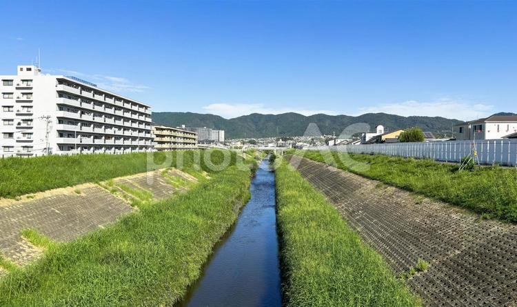 京都の伏見区内（桃山南）を流れる山科川 山科川,伏見区,京都の写真素材