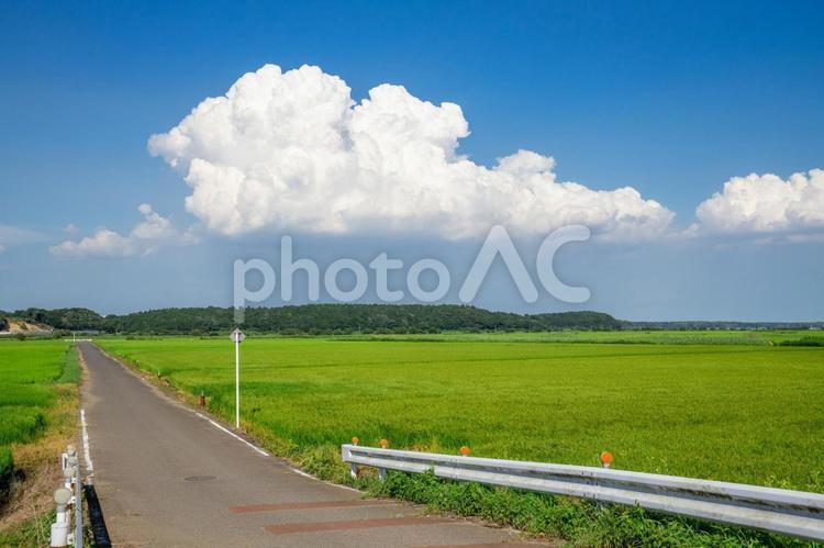 田園風景 田園風景,田舎,田舎暮らしの写真素材