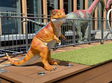 福井駅の屋上　恐竜のモニュメント モニュメント,恐竜,ウッドデッキの写真素材