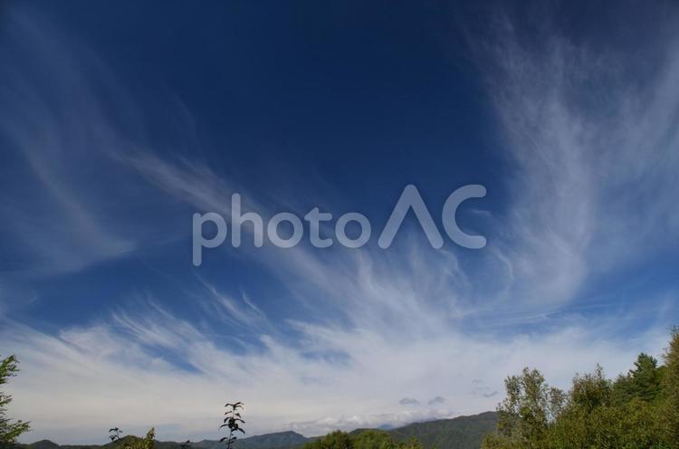 開田高原の秋　青い空と白い雲 秋,そら,秋の空の写真素材