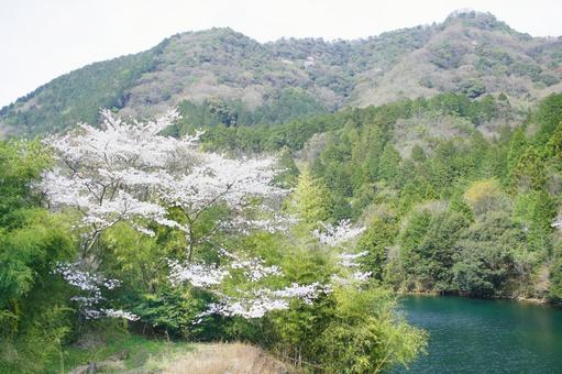 Asakura Dam-15, JPG