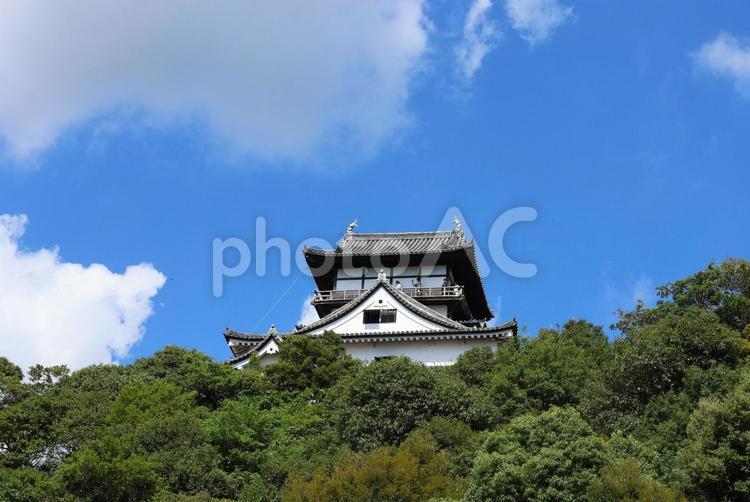 ７月下旬の国宝犬山城の天守 犬山城,天守,城の写真素材