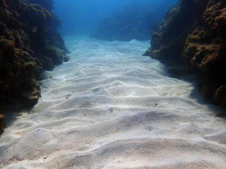 海底の景色 海底の景色 海,サンゴ,珊瑚礁の写真素材