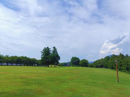 草原の風景 草原の風景 草原,樹木,自然の写真素材