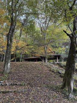 晩秋の牛伏川フランス式階段工（東屋） 牛伏寺,松本市,葉の写真素材