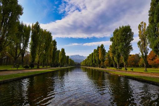 秋の前田森林公園 秋,前田森林公園,カナールの写真素材