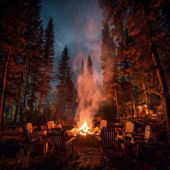 森林の星空の下の温かなキャンプファイヤー 森林の星空の下の温かなキャンプファイヤーの写真