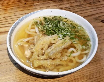 ごぼう天うどん ごぼう天うどん,ごぼ天うどん,ゴボ天うんどの写真素材