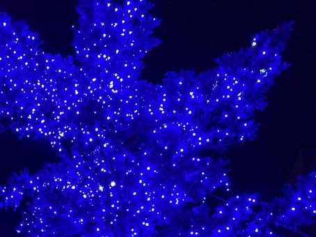イルミネーション　青 イルミネーション,青,電飾の写真素材