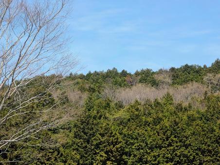 美しい青い空と山並み 美しい青い空と山並み 森,木々,緑の写真素材