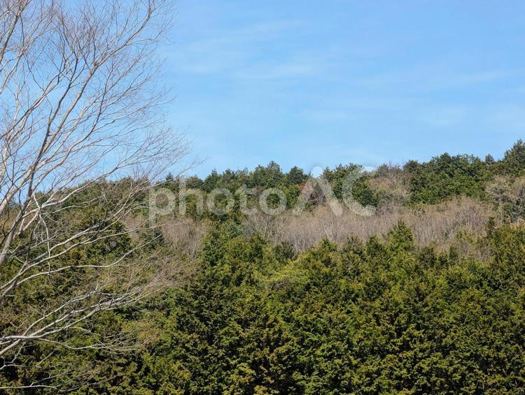 美しい青い空と山並み 森,木々,緑の写真素材