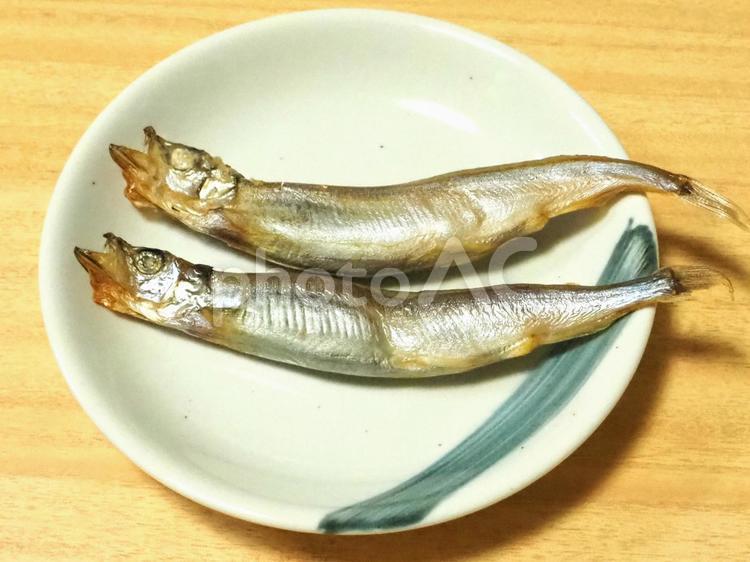 焼いた子持ちししゃも ししゃも,焼き魚,子持ちししゃもの写真素材