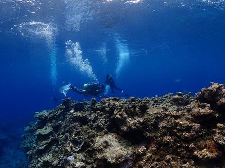 沖縄の海とダイバー 沖縄の海とダイバー 沖縄ダイビング,ダイビング,地形の写真素材