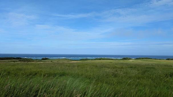 広がる草原 沖縄,離島,伊江村の写真素材
