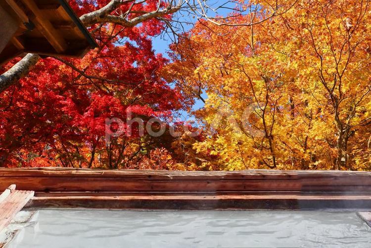 紅葉と温泉のイメージ 温泉,露天風呂,旅の写真素材