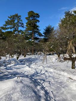 兼六園 兼六園の写真
