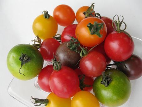 ミニトマト 野菜 ミニトマト,野菜,スイーツトマトの写真素材