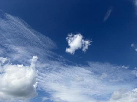 青空とひとすじの雲 青空とひとすじの雲の写真
