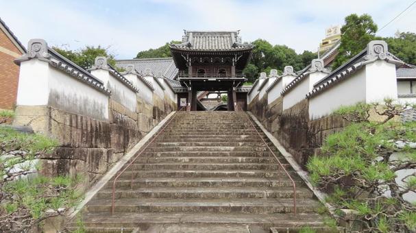 隨念寺 鐘楼門 白土塀 隨念寺 鐘楼門 白土塀の写真