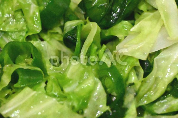 キャベツとピーマンを炒める 野菜炒め,野菜,緑黄色野菜の写真素材