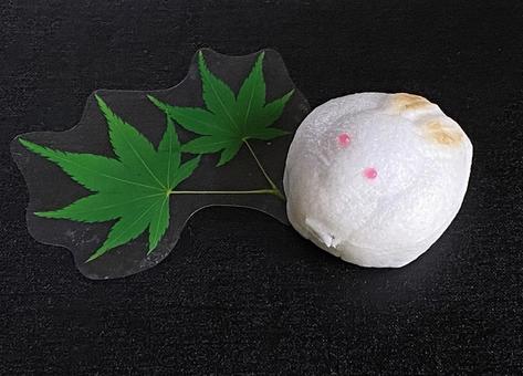 秋の和菓子月見うさぎ 秋の和菓子月見うさぎの写真