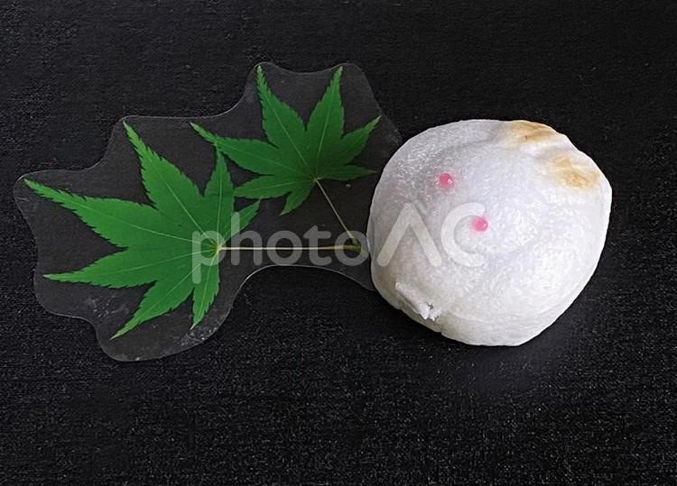 秋の和菓子月見うさぎ 秋,和菓子,おやつの写真素材