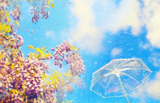 Image of a fox wedding with wisteria flowers, blue sky and umbrella, JPG Image of a fox wedding with wisteria flowers, blue sky and umbrella, JPG