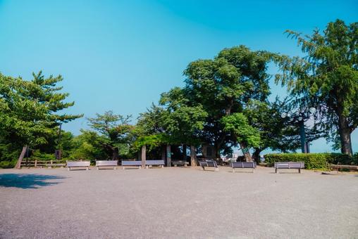 【和歌山】和歌山城 2025 【和歌山】和歌山城 2025 和歌山城,和歌山,城の写真素材