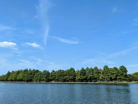 水元公園―小合溜対岸のみさと公園を望む 水元公園―小合溜対岸のみさと公園を望むの写真