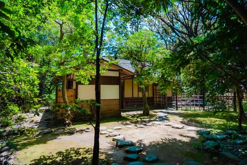 【東京】上野国立博物館 2025 【東京】上野国立博物館 2025の写真