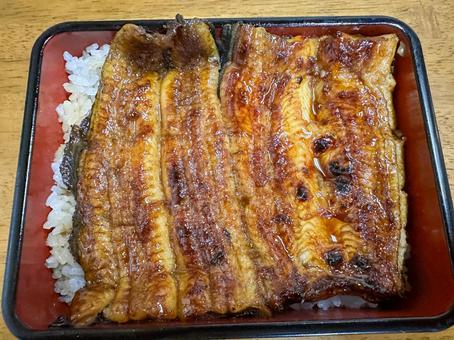 うな重 うな重,鰻,鰻重の写真素材