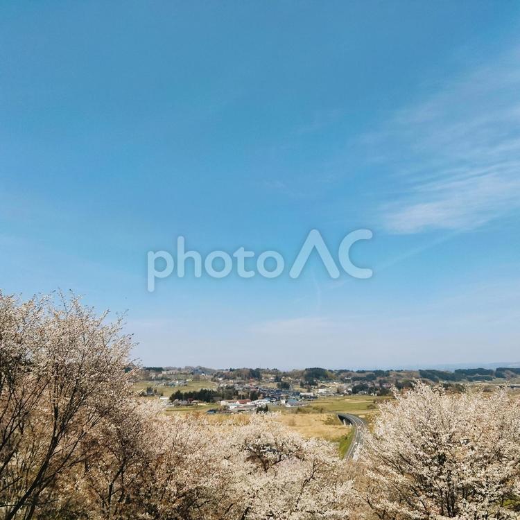 中尊寺の風景 2025 中尊寺,岩手県,平泉の写真素材