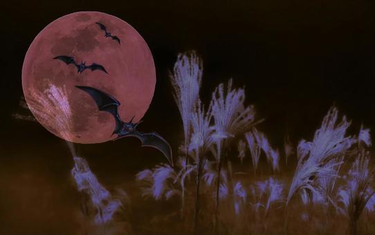 ハロウィン・イメージ素材/幻想の赤い月夜 ハロウィン,月夜,赤い月の写真素材