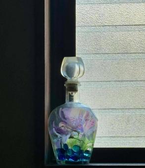 Photo, bottle, flower, blue, 
