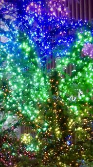 カラフルなイルミネーションの背景 クリスマス,冬,イルミネーションの写真素材