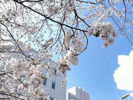 Photo, the scenery, sky, natural, 
