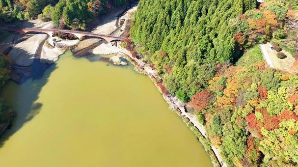 碓氷湖　ゆめのせ橋 紅葉,山,赤の写真素材