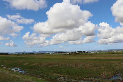 田園 田園 田園,自然,景色の写真素材