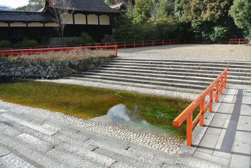 下鴨神社 御手洗池 下鴨神社 御手洗池 京都,神社,寺社仏閣の写真素材