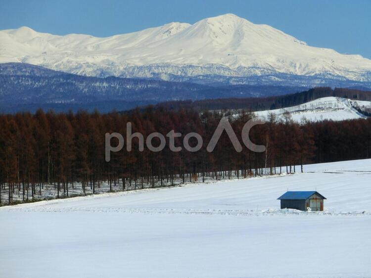 素晴らしき冬の北海道 北海道,美瑛,富良野の写真素材