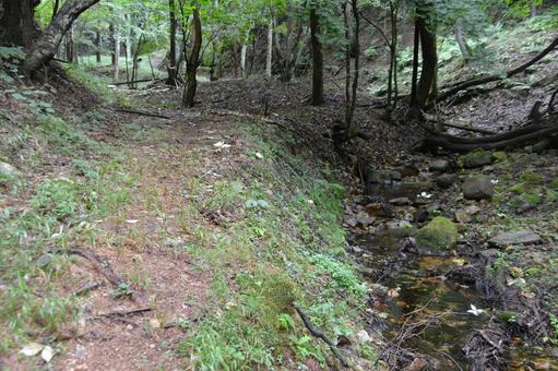登山道とせせらぎ 登山道,ハイキングロード,せせらぎの写真素材