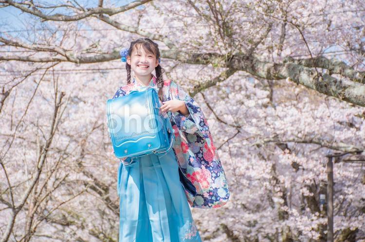 小学校卒業の子供 卒業,袴,桜の写真素材