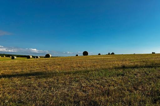 牧草ロールのある風景5 牧草ロールのある風景5の写真