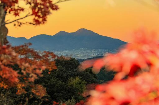 二上山 岡寺,紅葉,もみじの写真素材