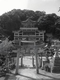 広島県-草戸稲荷神社-本殿と鳥居-白黒の写真