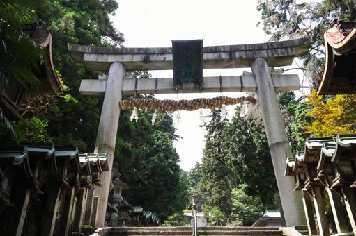 宝山寺参道の灯篭・鳥居 奈良県生駒市 宝山寺参道の灯篭・鳥居 奈良県生駒市の写真